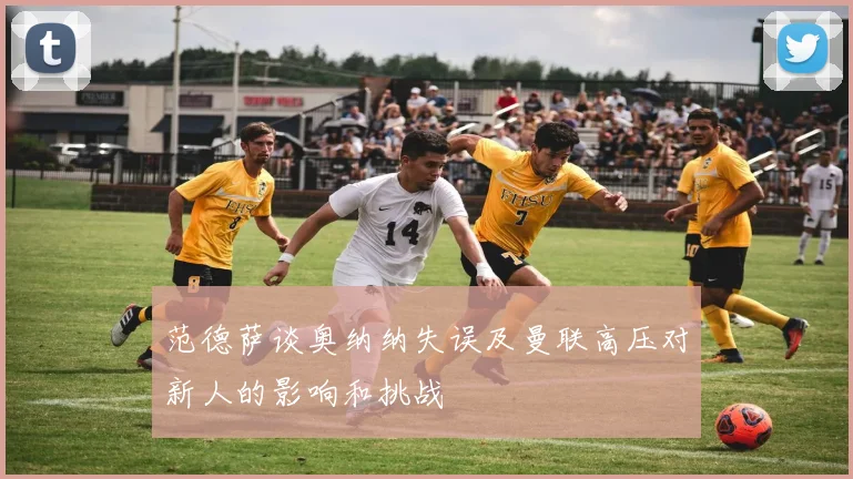 范德萨谈奥纳纳失误及曼联高压对新人的影响和挑战