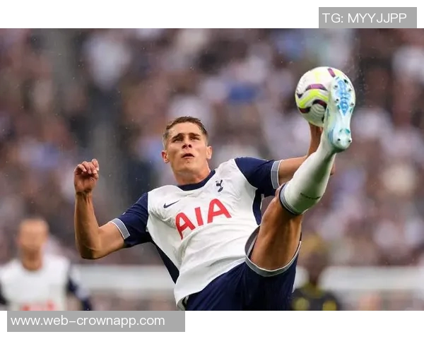 热刺对武什科维奇在汉堡的外租表现表示满意视其为球队重要一员